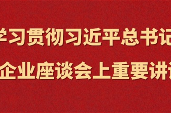 菲律宾亚星集团集中进建习近平总书记在民营企业座谈会上沉要讲话心灵